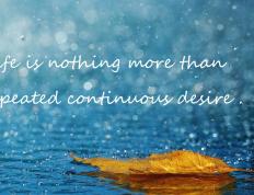 世俱杯分组-猛龙过江，焦灼对垒中，北境铁血如何撕裂东方明珠的钢铁防线