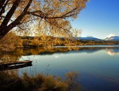 世俱杯奖金-西决生死战焦点战，鹈鹕横扫灰熊，强势晋级总决赛