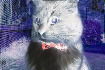 世俱杯-克瓦拉茨赫利亚一剑封喉，拉齐奥淘汰挪威球队惊险晋级