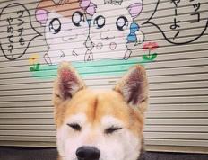 世俱杯改制-吉林队铁壁封锁步行者，马克西独揽风云成全场焦点