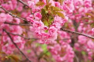世俱杯参赛资格-星耀焦点夜，萨内魔幻舞步引爆年度对决