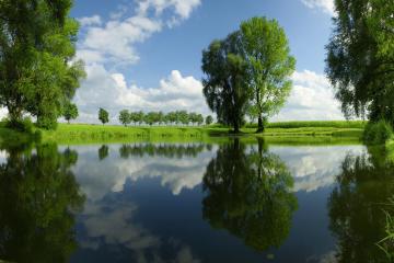 世俱杯-文班亚马的71分沦陷区，历史之夜与失败美学