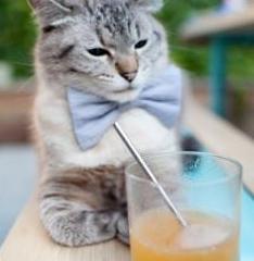 世俱杯赛程-切特爆砍35分，利拉德死亡三分！雄鹿惊魂逆转猛龙