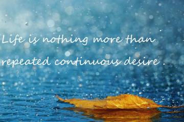 世俱杯时间-杜兰特式英雄主义与热火的团队胜利，竞技场上的两种王者之道