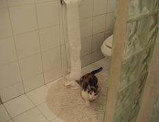 世俱杯时间-跨界统治，黄喜灿在NBA季后赛的芬兰式压制