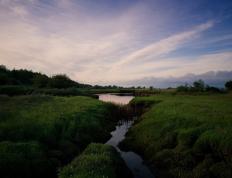 世俱杯参赛资格-米切尔，欧冠之夜的不朽宣言