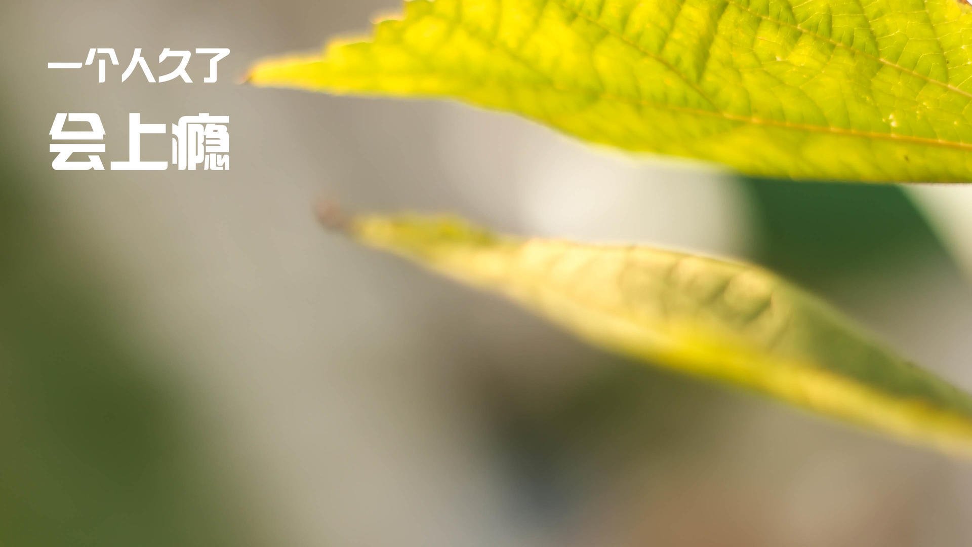 世俱杯参赛资格-德甲争冠焦点战激情上演,阿森纳强势淘汰摩洛哥晋级