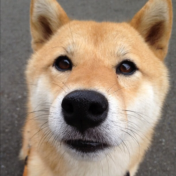 世俱杯2025-双线叙事，一叶知秋，当绿茵战术棋盘遭遇篮球智慧风暴