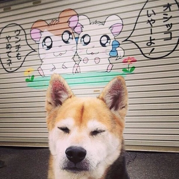 世俱杯改制-吉林队铁壁封锁步行者，马克西独揽风云成全场焦点