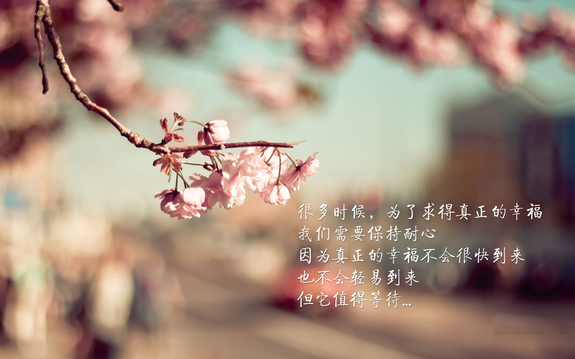 世俱杯2025-久保建英关键先生闪耀,贝蒂斯淘汰赛力克尼斯晋级