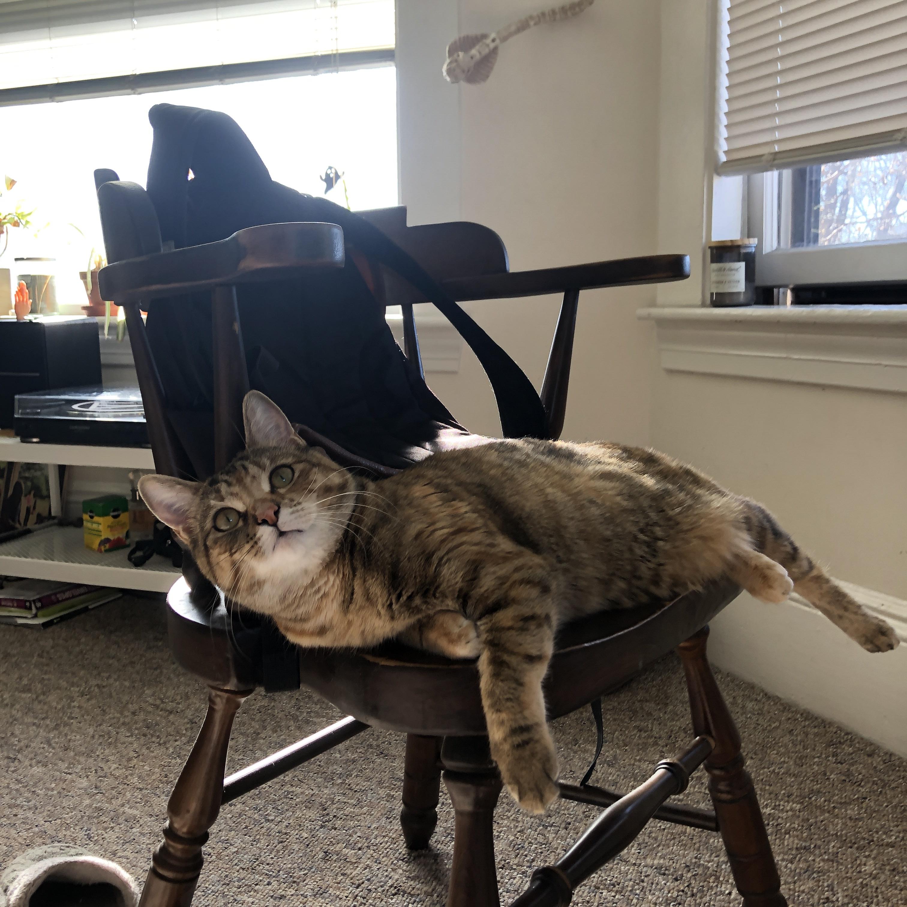 世俱杯分组-传奇续写，2026世界杯之夜，伊布带队力克强敌