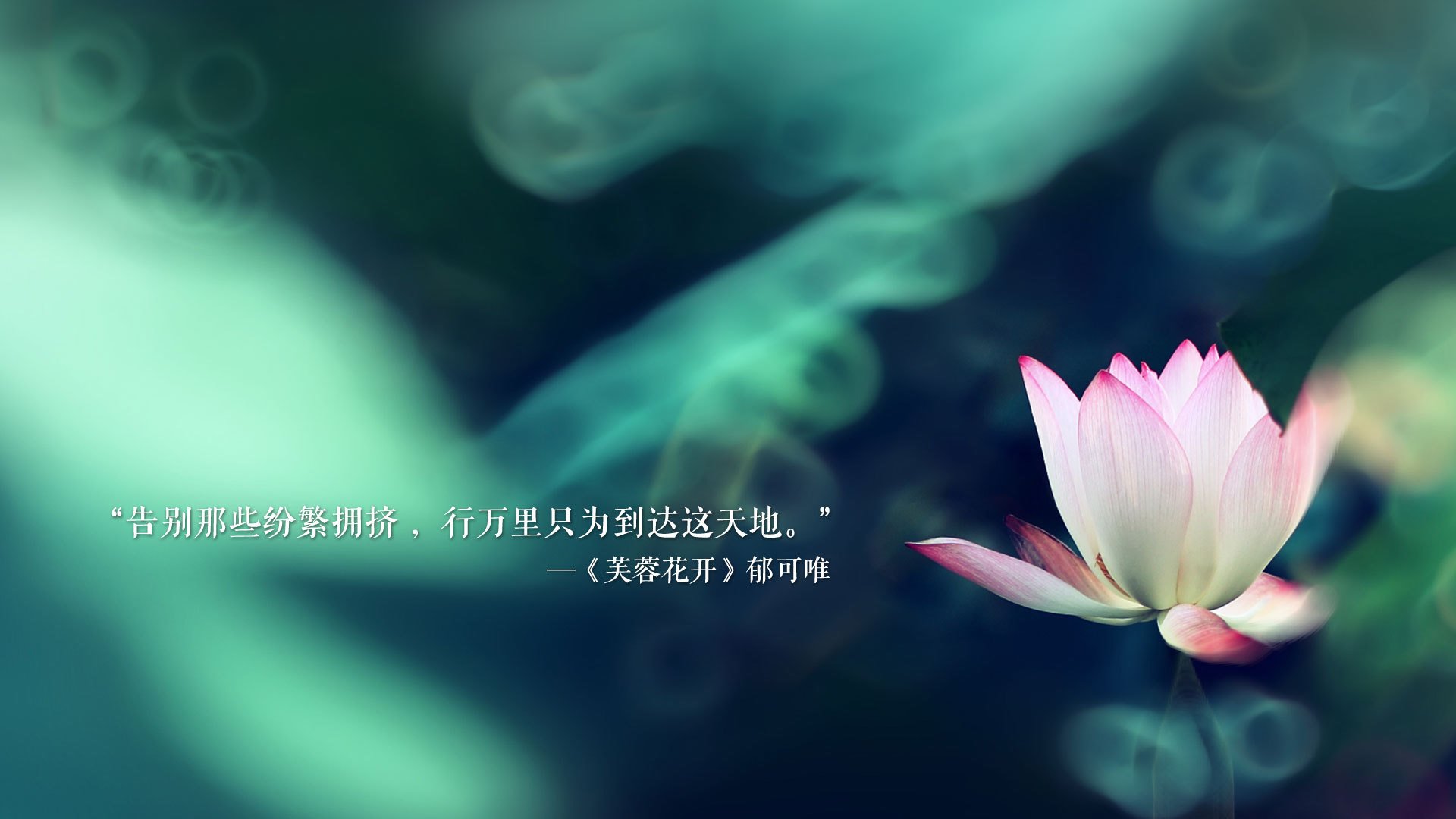 世俱杯赛程-橙衣风暴席卷布加勒斯特，苏亚雷斯独造三球，荷兰大胜罗马尼亚强势领跑B组